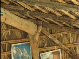 palapa2.jpg (12113 bytes)