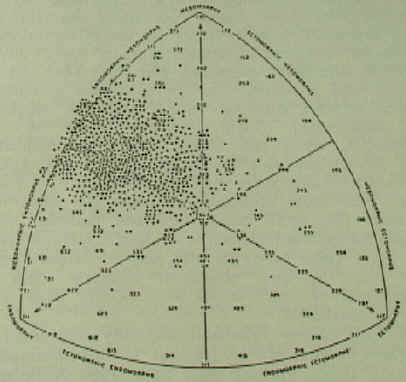 Tracking the Elusive Human, Vol.II, Chapter 11