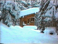 simplelifwinterinthewoods3.gif (56971 bytes)